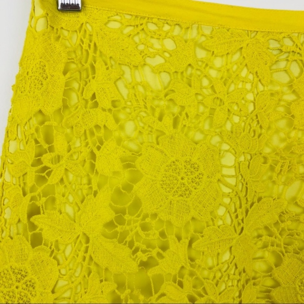 Madewell Meadowlace Mini Skirt - Picture 3 of 6